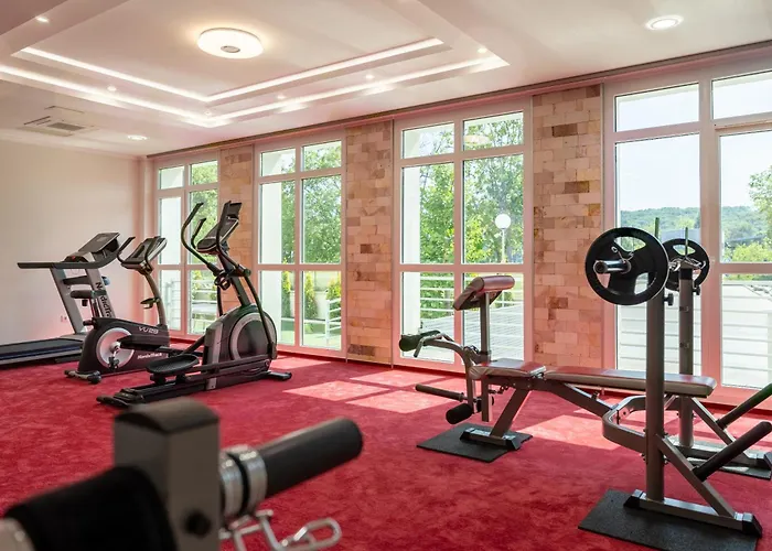 Отель Aurora Мишкольц